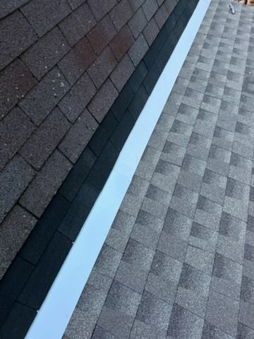 Close-up of a roof edge with brown shingles, white trim, and gray textured siding.