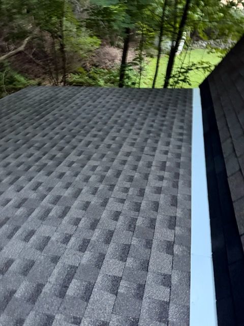 Gray shingled roof edge beside trees and green foliage