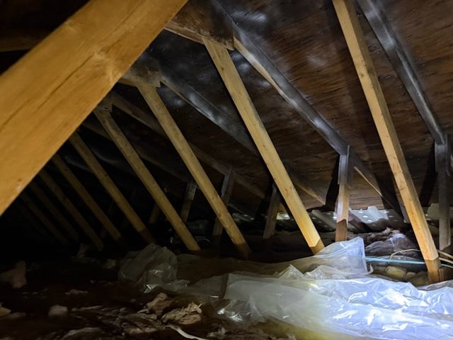 Attic crawlspace with exposed wooden rafters, insulation, and a plastic-covered floor