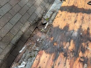 Damaged wooden roof decking beside gray shingles, with debris and wear visible.