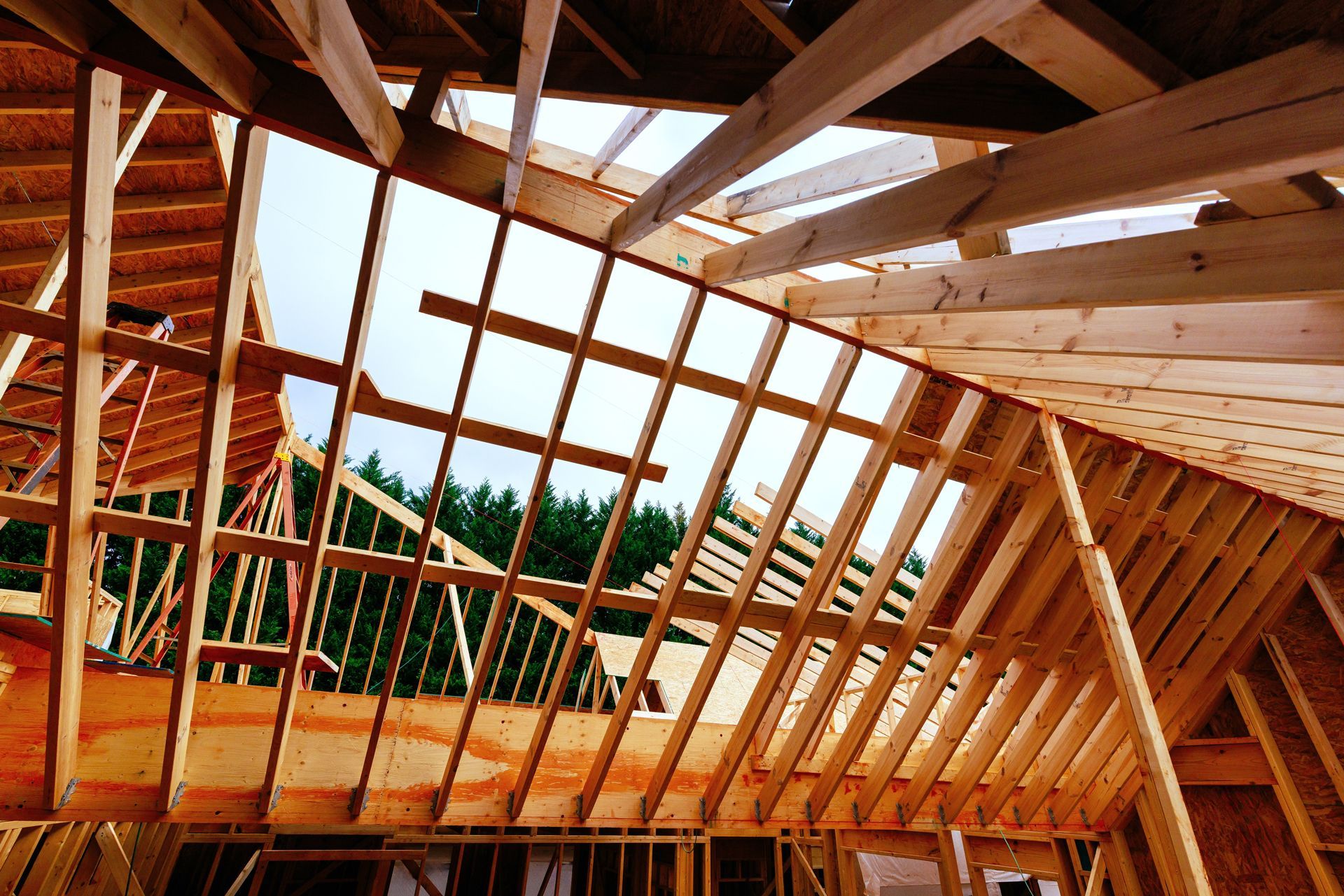 Exposed wooden roof framing under construction with skylights and blue sky visible through the beams
