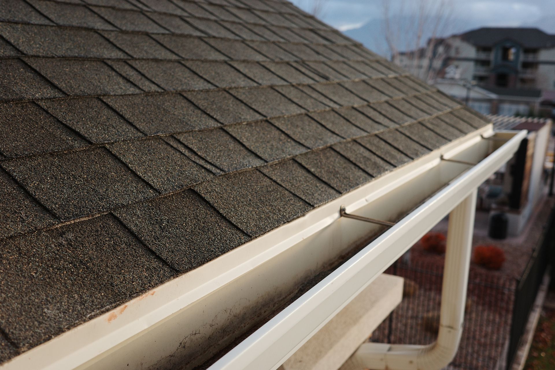 Close-up of a rooftop gutter along brown shingle roof tiles with a house in the background
