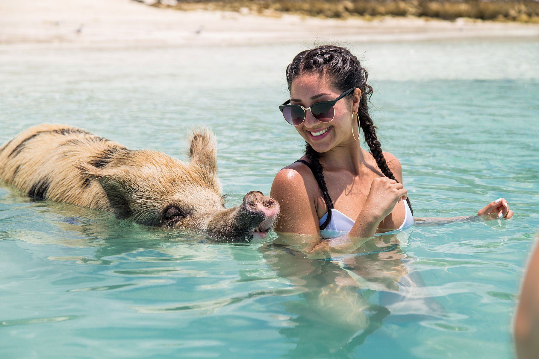 girl enjoy playing with the pig