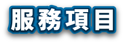 藍色圓角矩形框內有白色文字“服務項目目”，並帶有陰影。