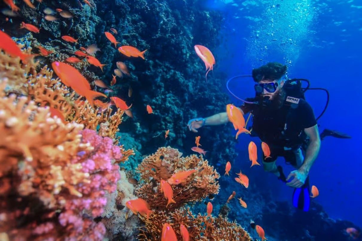 Alt Text:
Tiran Island cruise from Sharm El Sheikh with turquoise Red Sea waters, coral reefs