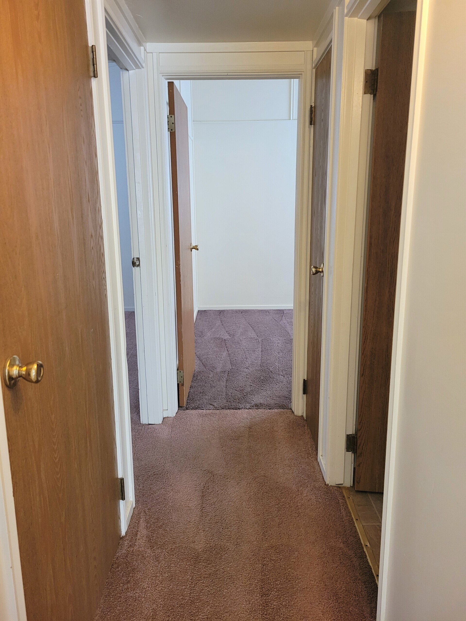 Photos of The Eastwood Apartments