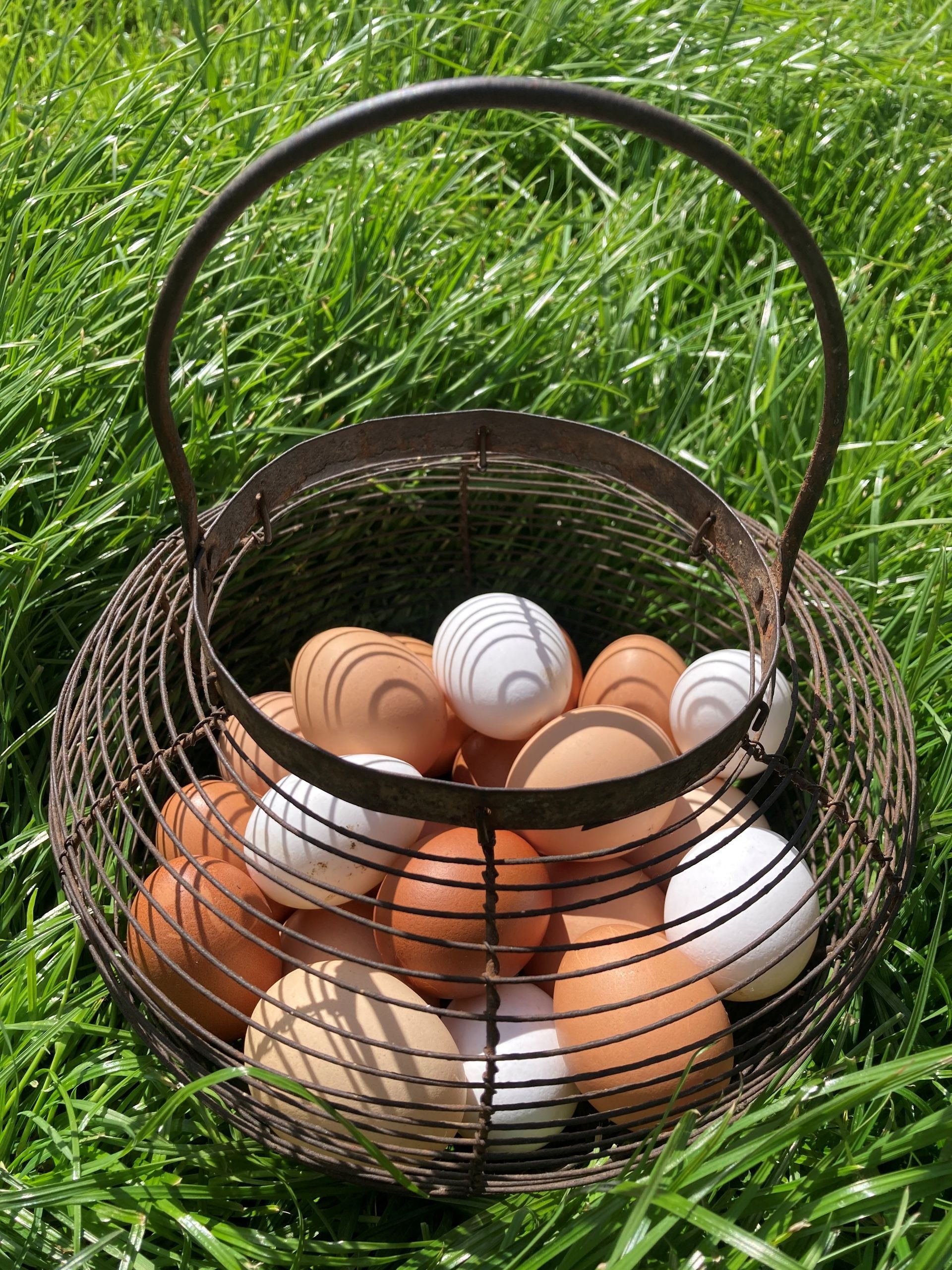French egg basket filled with farm fresh eggs collected daily from Mallard Grange Farm in Ripon.