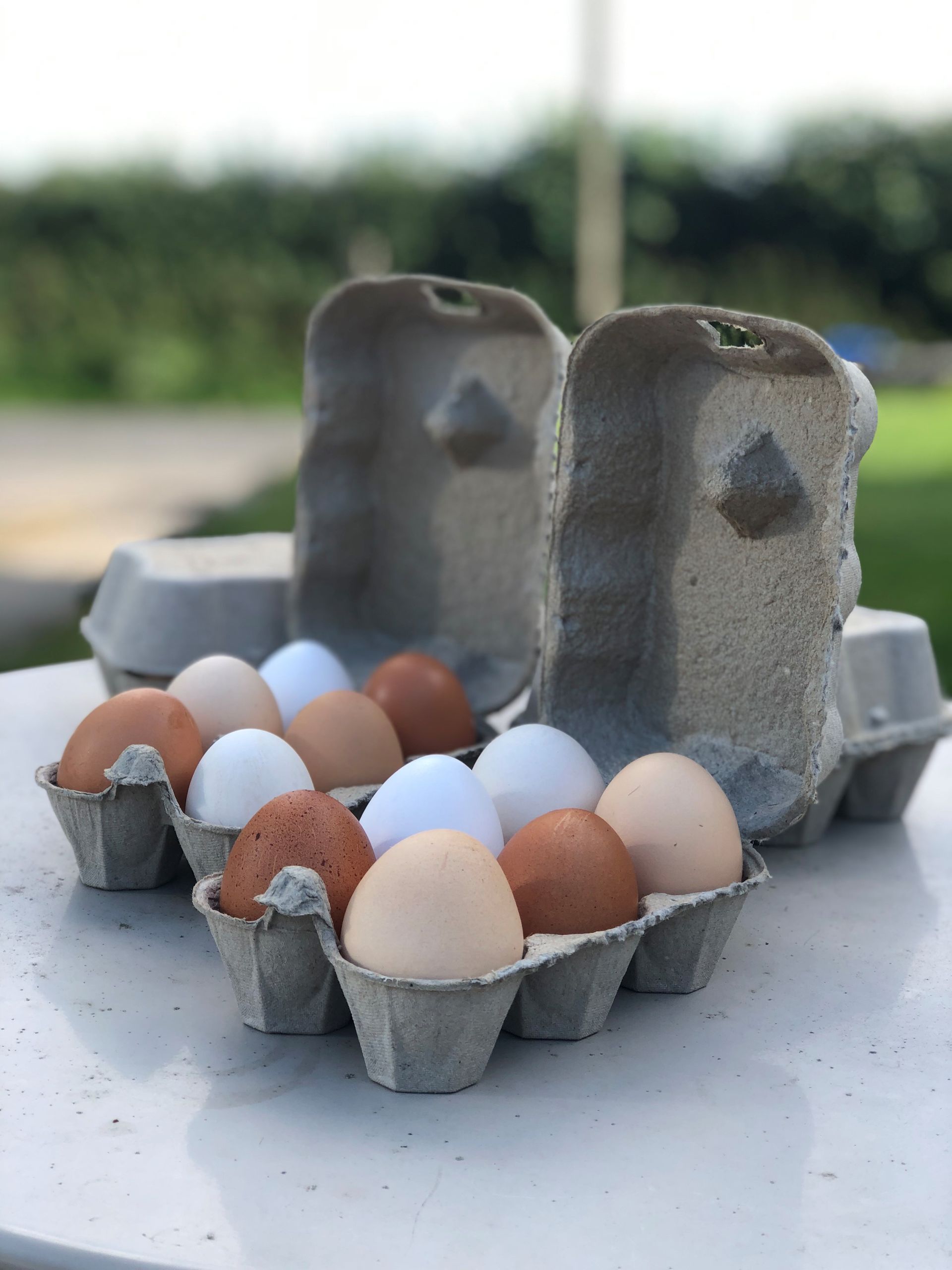 Pasture Raised eggs available to buy from local farm shops at Butchers in Ripon and Harrogate North Yorkshire.