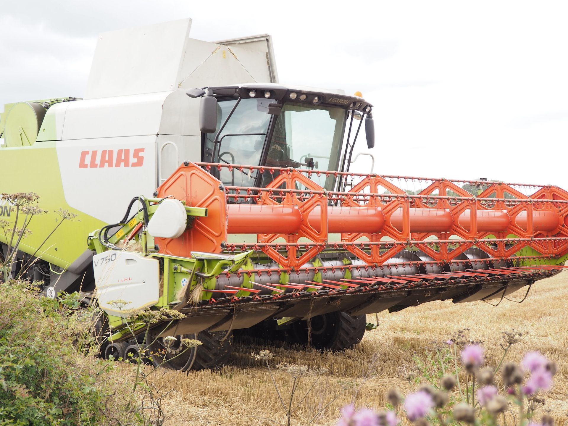Combine harvester at Mallard Grange Farm in Ripon North Yorkshire, mixed livestock and arable farm, regenerative agriculture