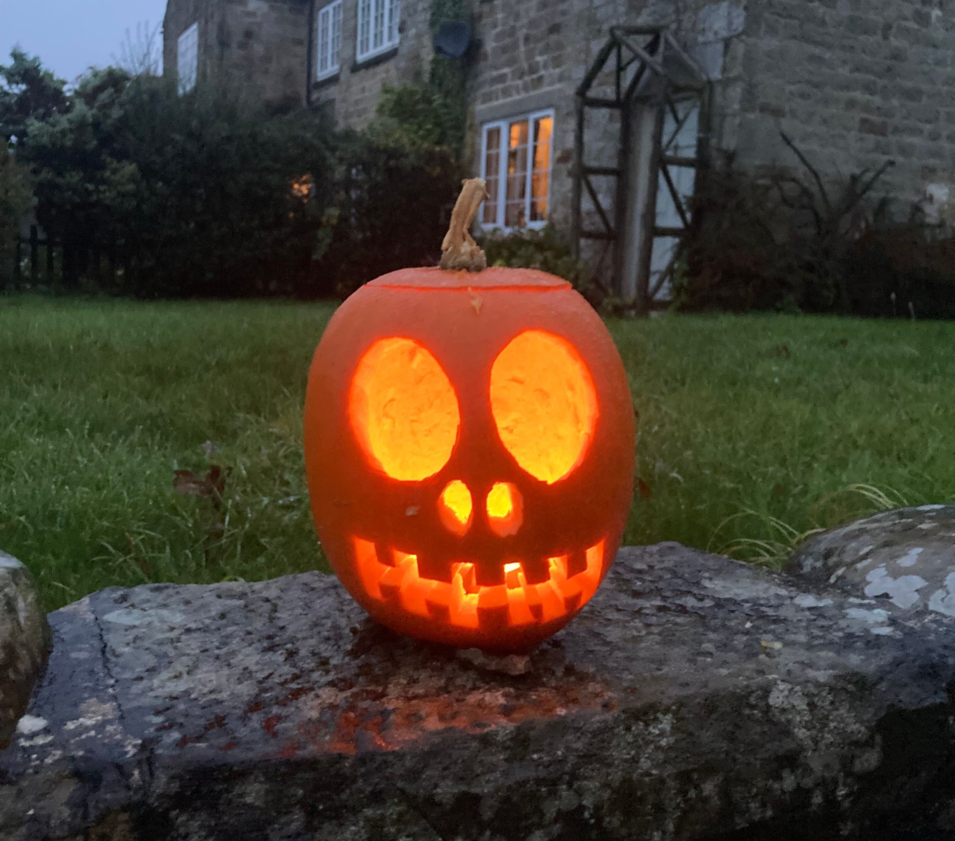 Halloween Pumpkins from Mallard Grange Farm in Ripon available at local farm shops and for pick your own events 