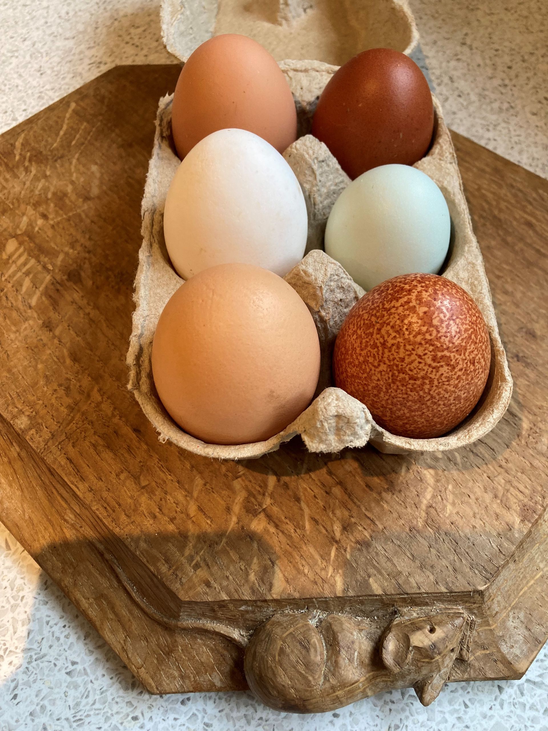 Box of pasture raised hen eggs, diverse shell colour and sizes thanks to mixed breeds. Pasture Raised at Mallard Grange Farm