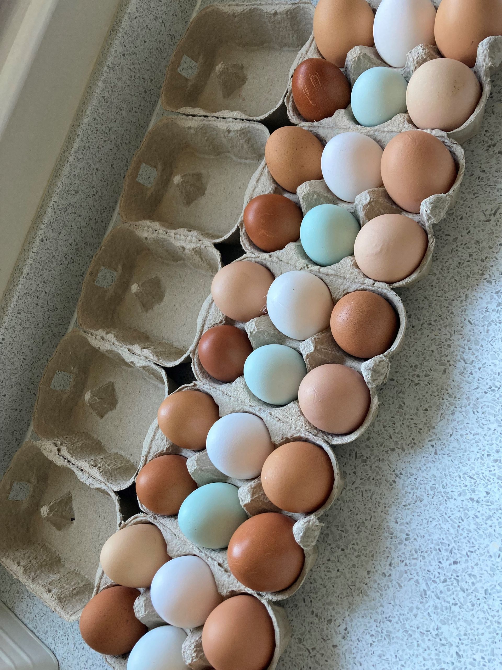 Boxed pasture raised, hen eggs with mixed colour shells. Available at Weetons, local butchers and farm shops Mallard Grange
