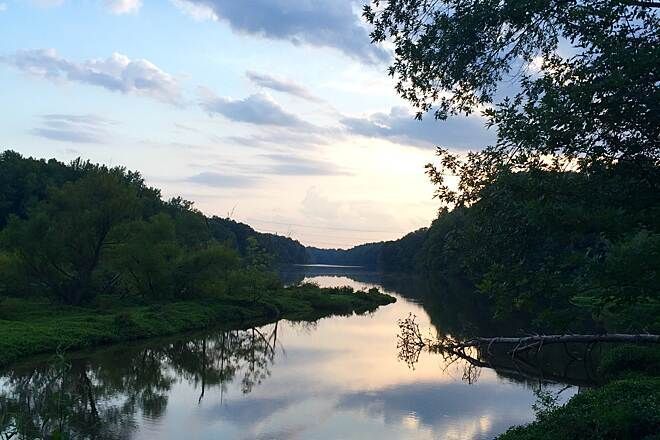 A river surrounded by trees on a cloudy day