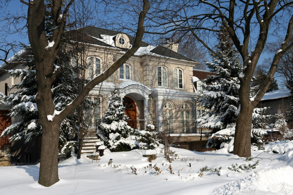 A large house is surrounded by snow covered trees