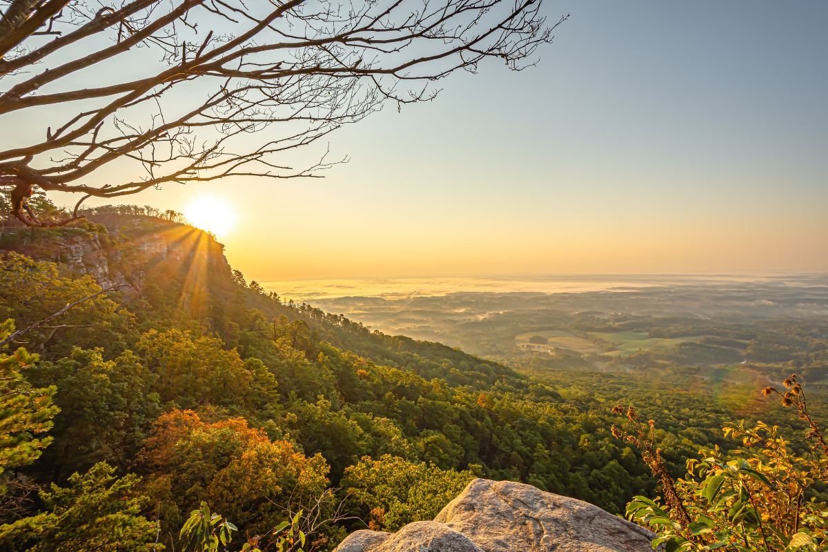The sun is setting over a valley with trees in the foreground
