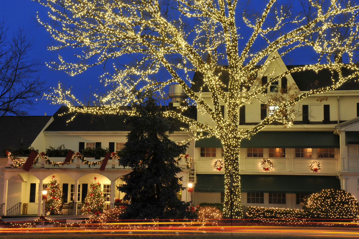 A house is decorated with christmas lights and has a tree in front of it
