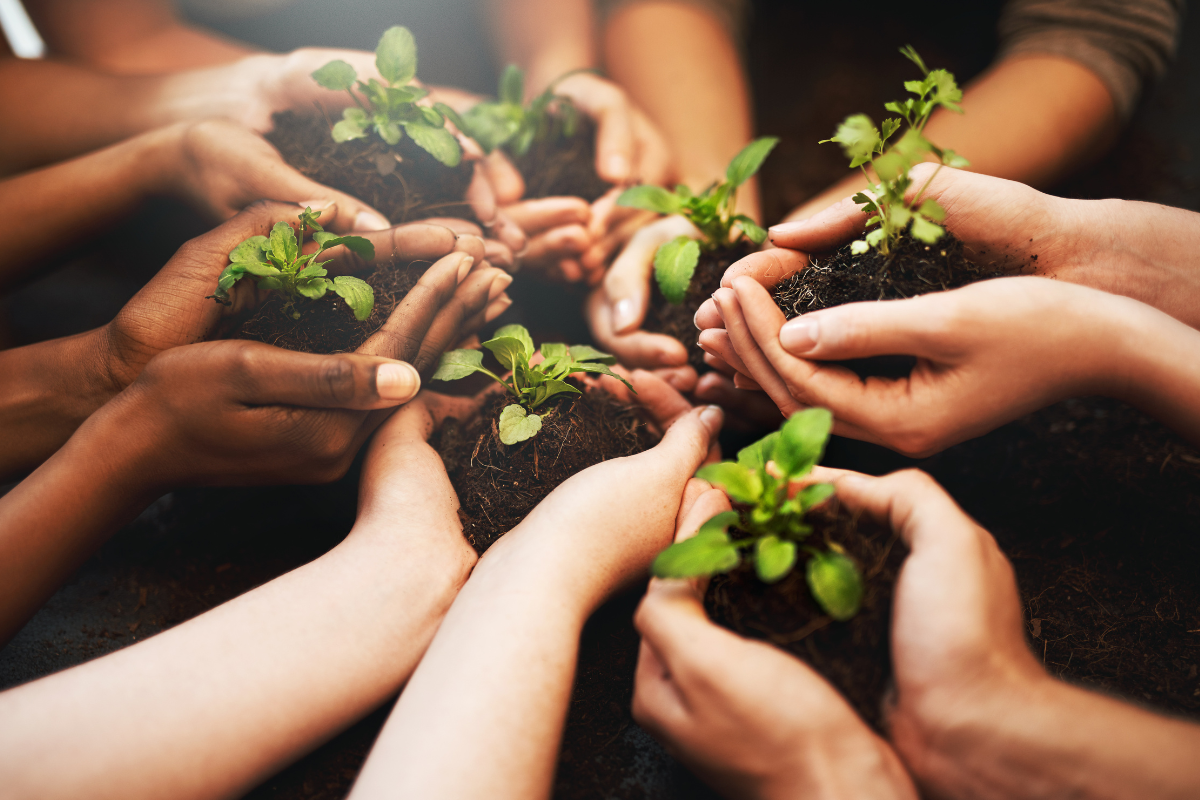 A group of people are holding small plants in their hands