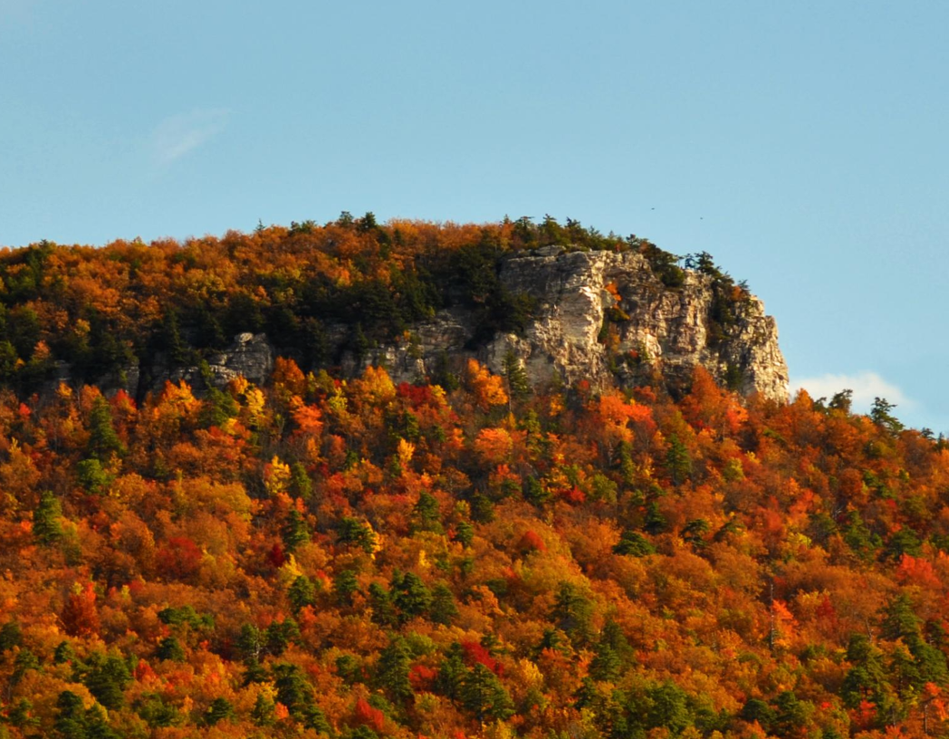 A mountain covered in trees with a blue sky in the background