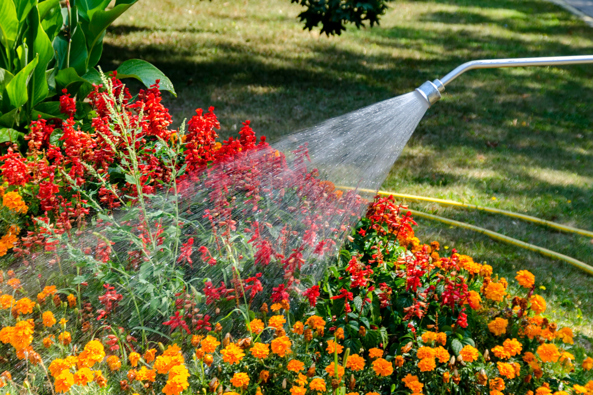 A person is watering flowers with a hose