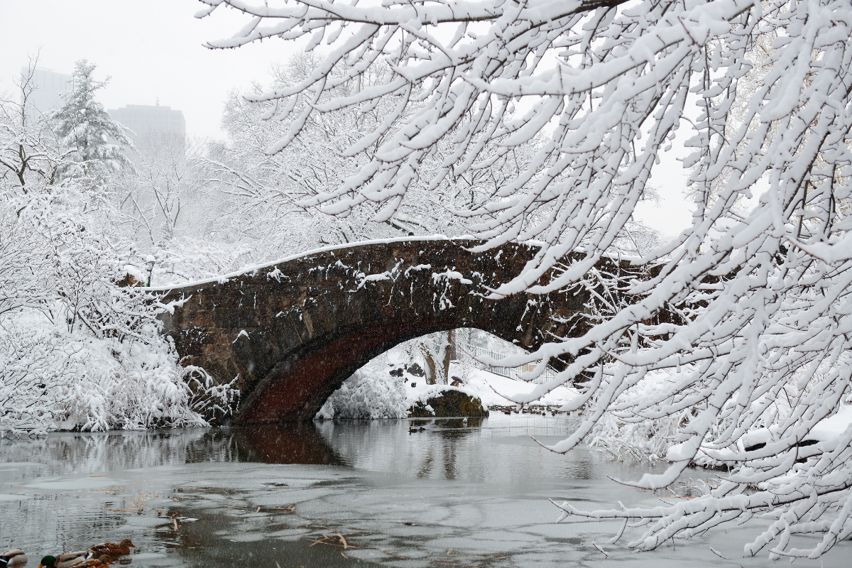 A bridge over a body of water surrounded by snow covered trees