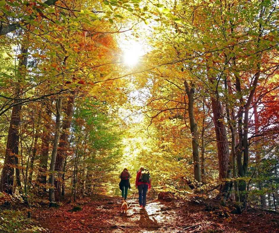 Winston-Salem hiking trails