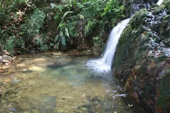 Uma pequena cachoeira deságua em uma piscina rasa e cristalina, cercada por rochas cobertas de musgo e vegetação verdejante.