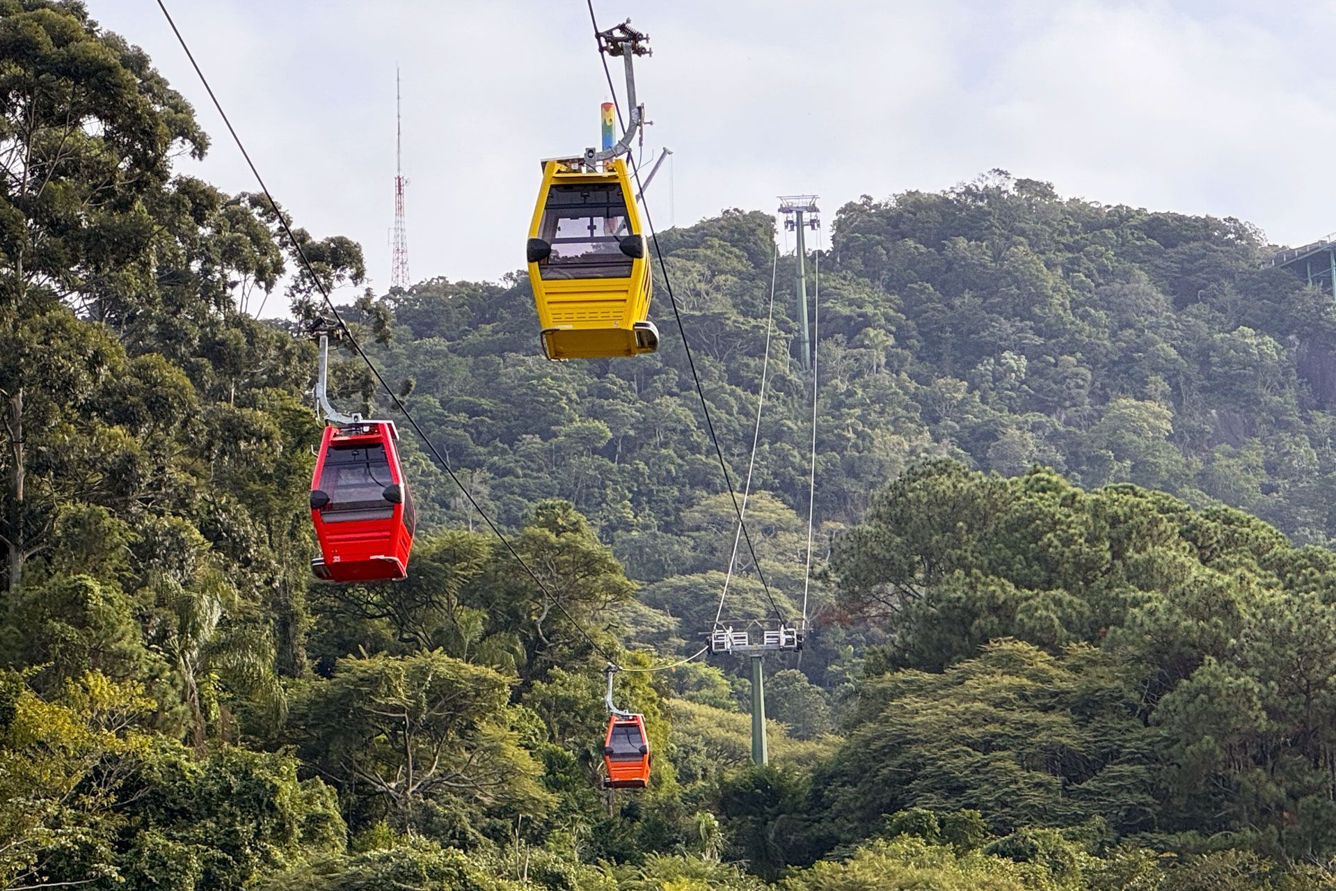 Bondinhos de várias cores (vermelho, amarelo, laranja) sobem uma encosta verdejante de montanha.