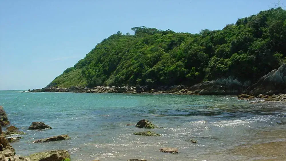 Vista de uma praia rochosa com águas azul-turquesa e uma encosta coberta de árvores sob um céu azul claro.