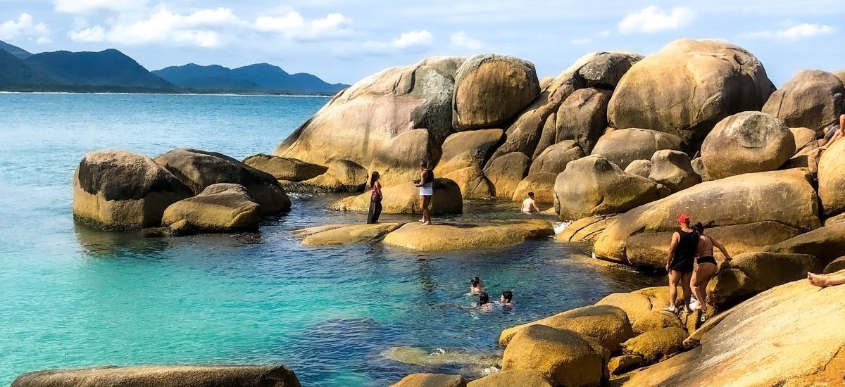 Um grupo de pessoas está nadando no oceano perto de uma costa rochosa.