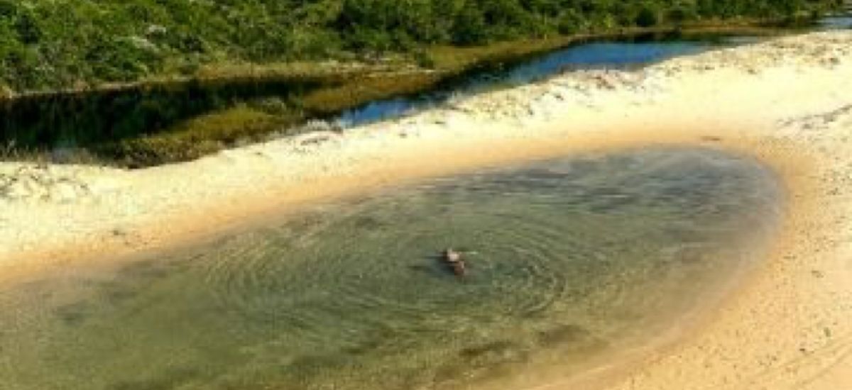 Uma pessoa está nadando em um pequeno lago na praia.