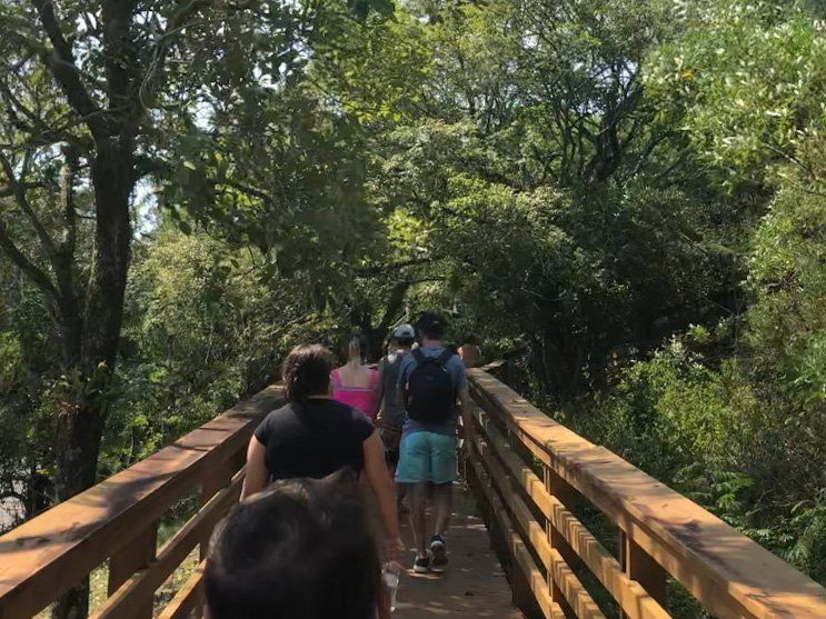 Um grupo de pessoas atravessa uma ponte de madeira na floresta.