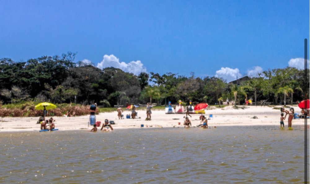 Um grupo de pessoas está brincando na água de uma praia.