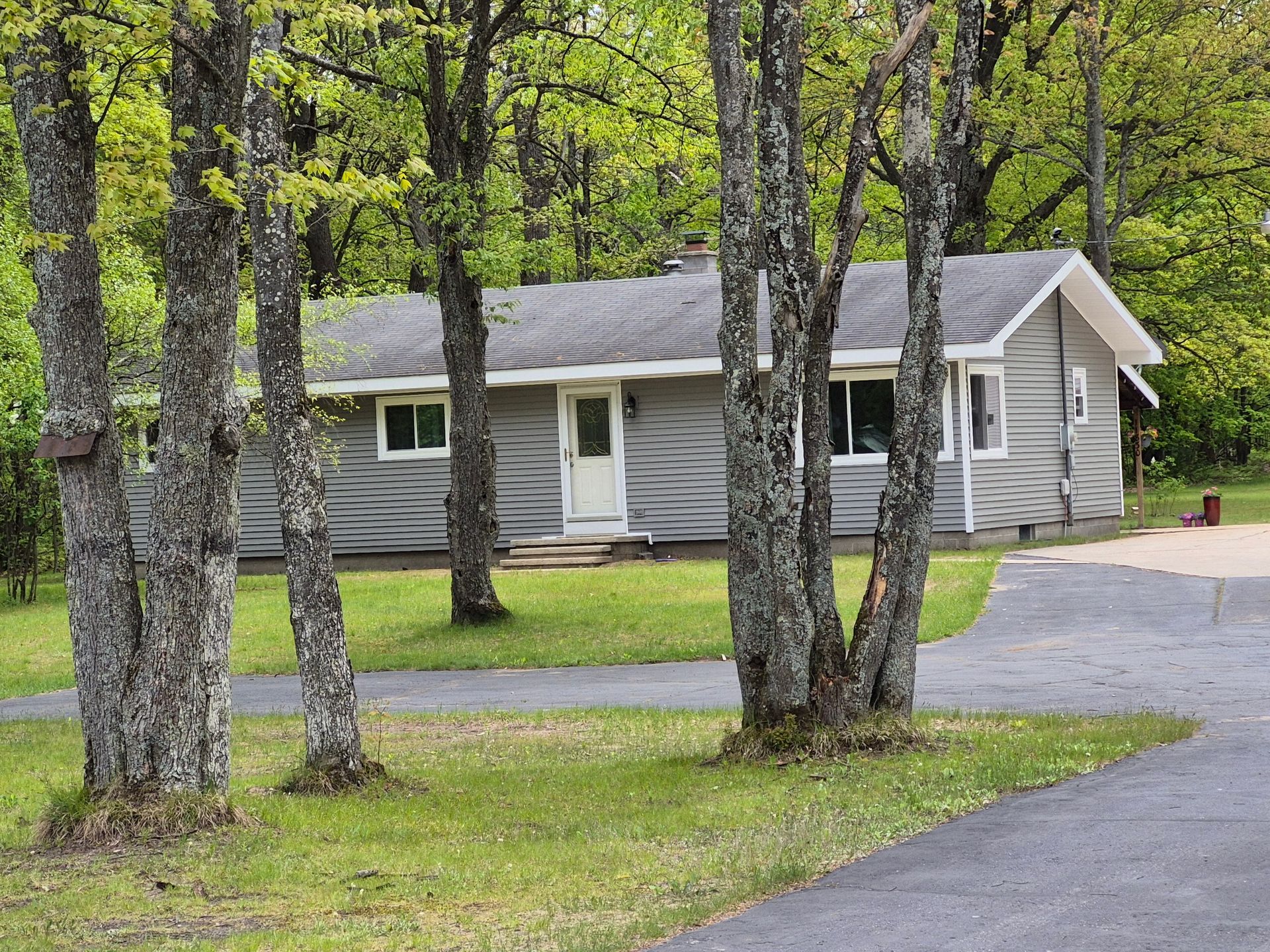 A small house is surrounded by trees and a driveway