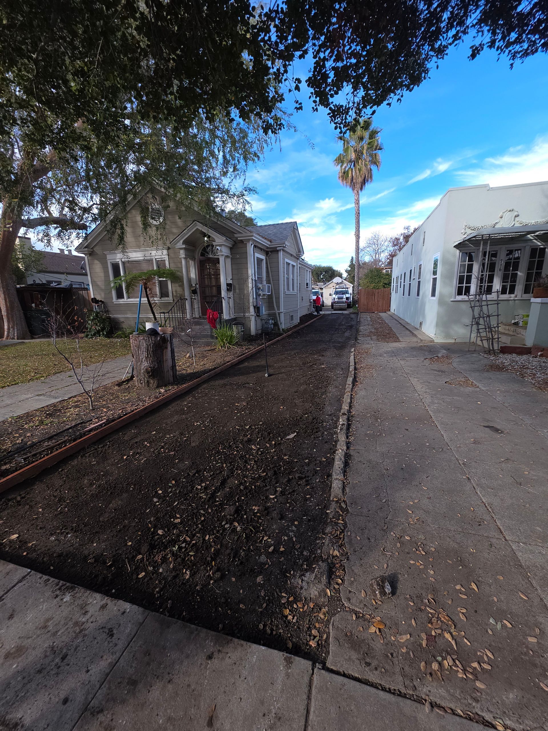A dirt driveway lies between two residential houses under a clear blue sky, with a tall palm tree in the distance.