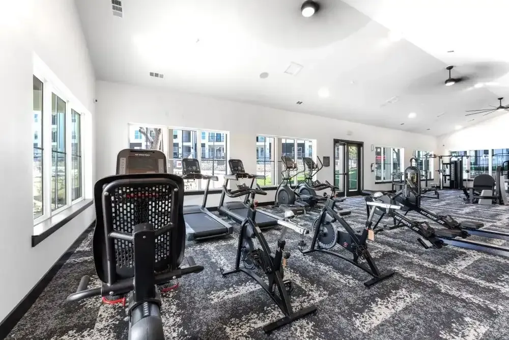 Gym interior with treadmills, rowers, and weight machines, windows, and patterned carpet.