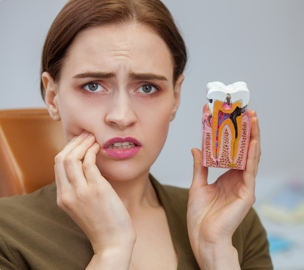Woman with pained expression holding her cheek and a tooth model, showing a root canal. Indoor setting.