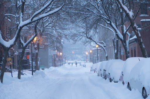 Snowy city street with parked cars covered in snow
