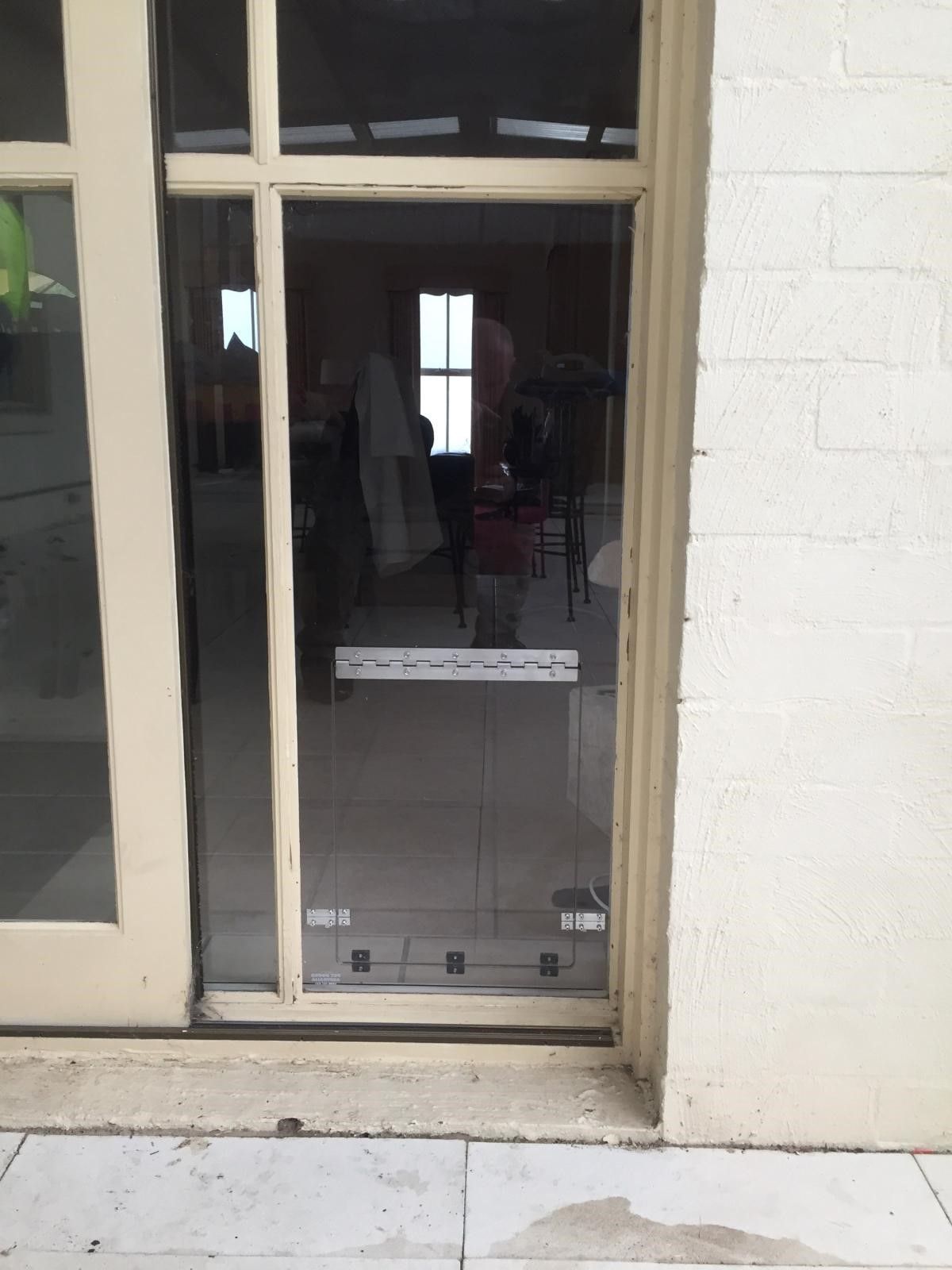 Glass storefront door with a narrow dog door at the bottom and a beige frame, seen from outside.