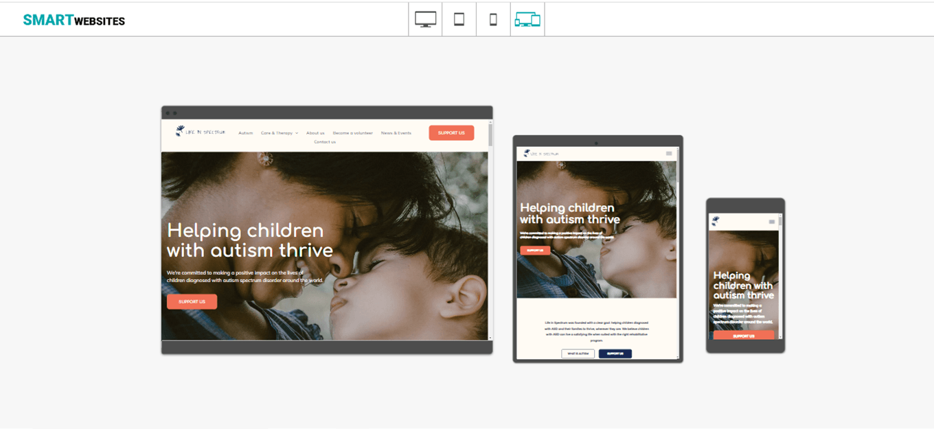 Nonprofit websites - Life In Spectrum example