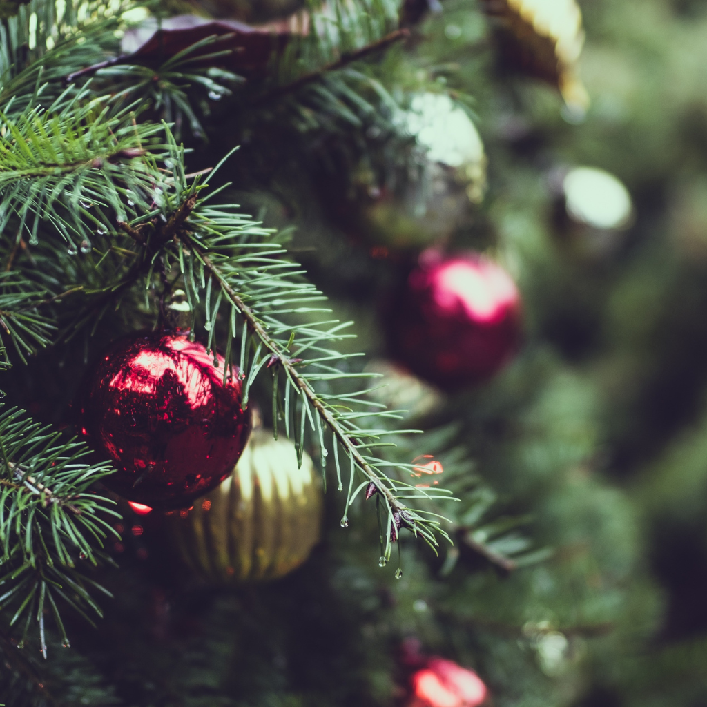 A close up of a christmas tree with red and gold ornaments.