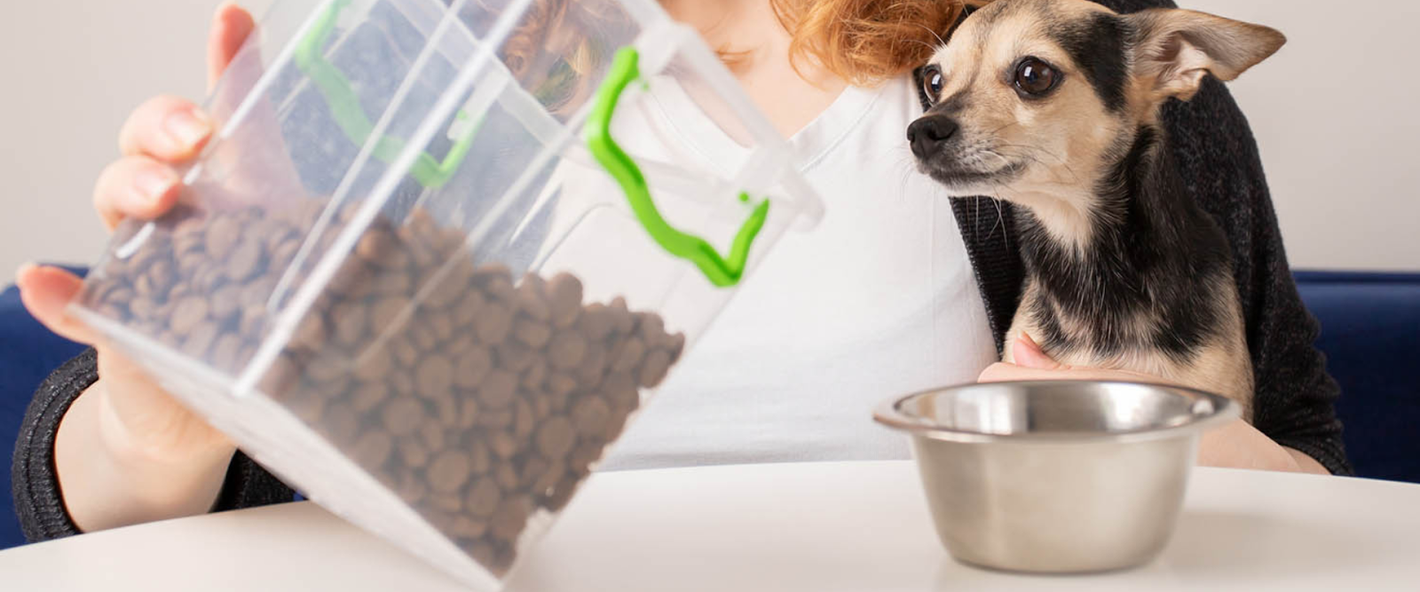 how to store pet food
