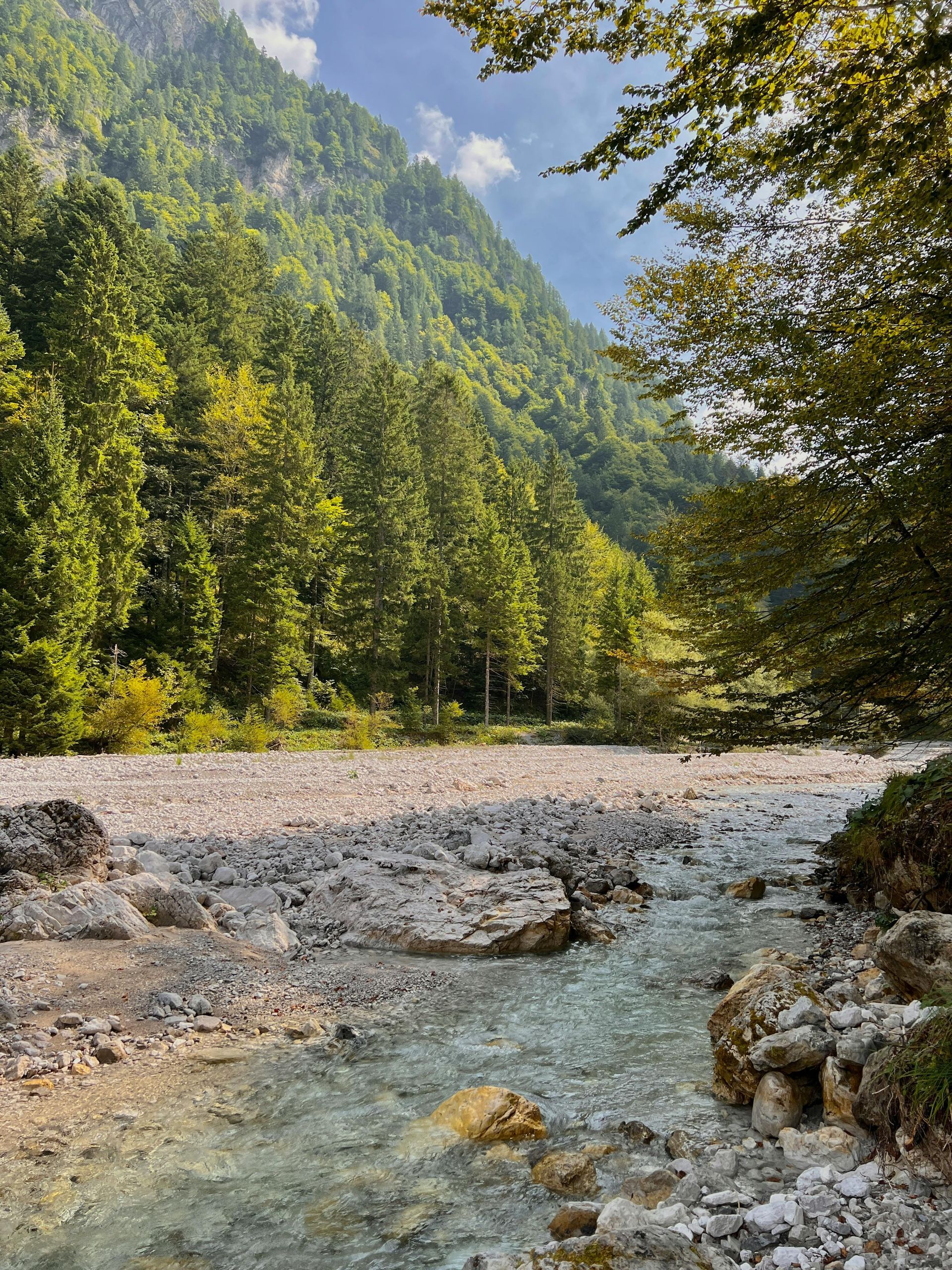 Lewis river