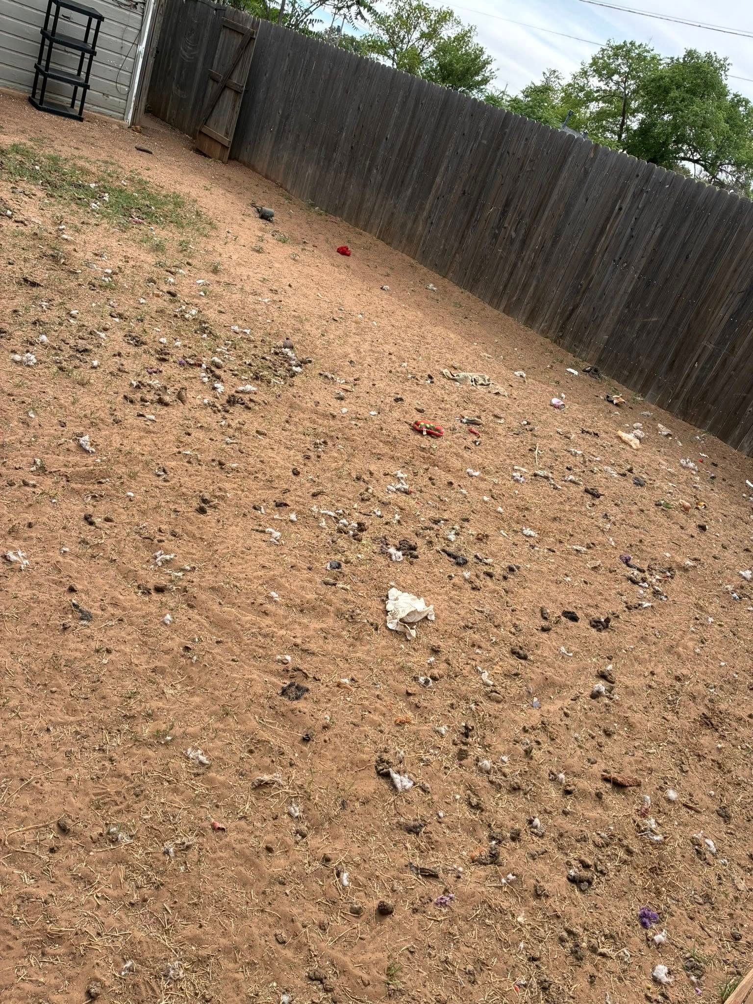 Dry, rocky dirt yard beside a tall wooden fence, with a white plastic bag on the ground.
