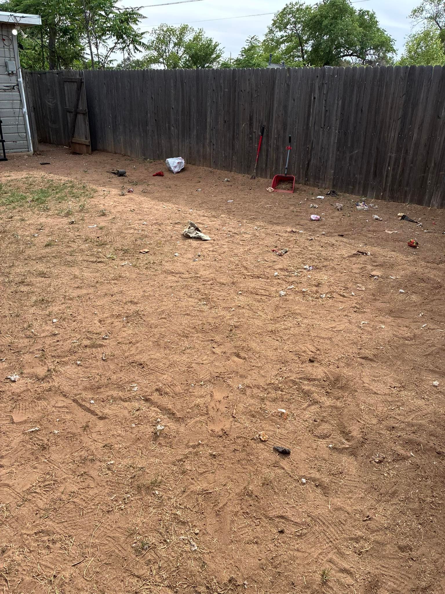 Backyard with dry grass, wooden fence, and a few scattered buckets and objects.