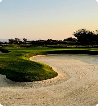 Golf course green and sand trap at dusk.
