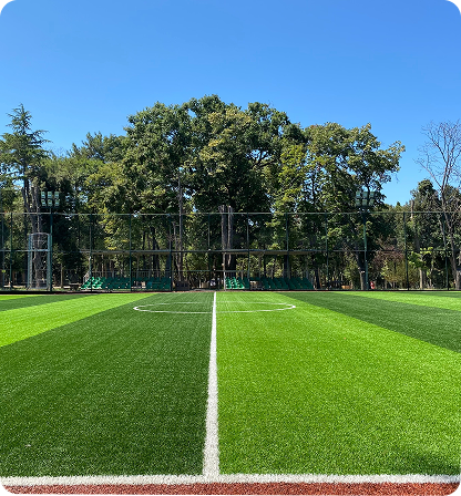 Soccer field with green artificial turf, white lines, and trees in the background under a blue sky.