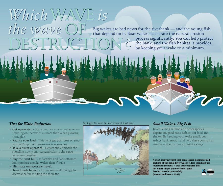 Interpretive writing sample helping boaters understand the impacts of wakes on the river and its inhabitants.