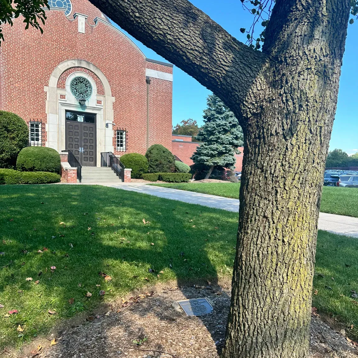Alumni Square Tree