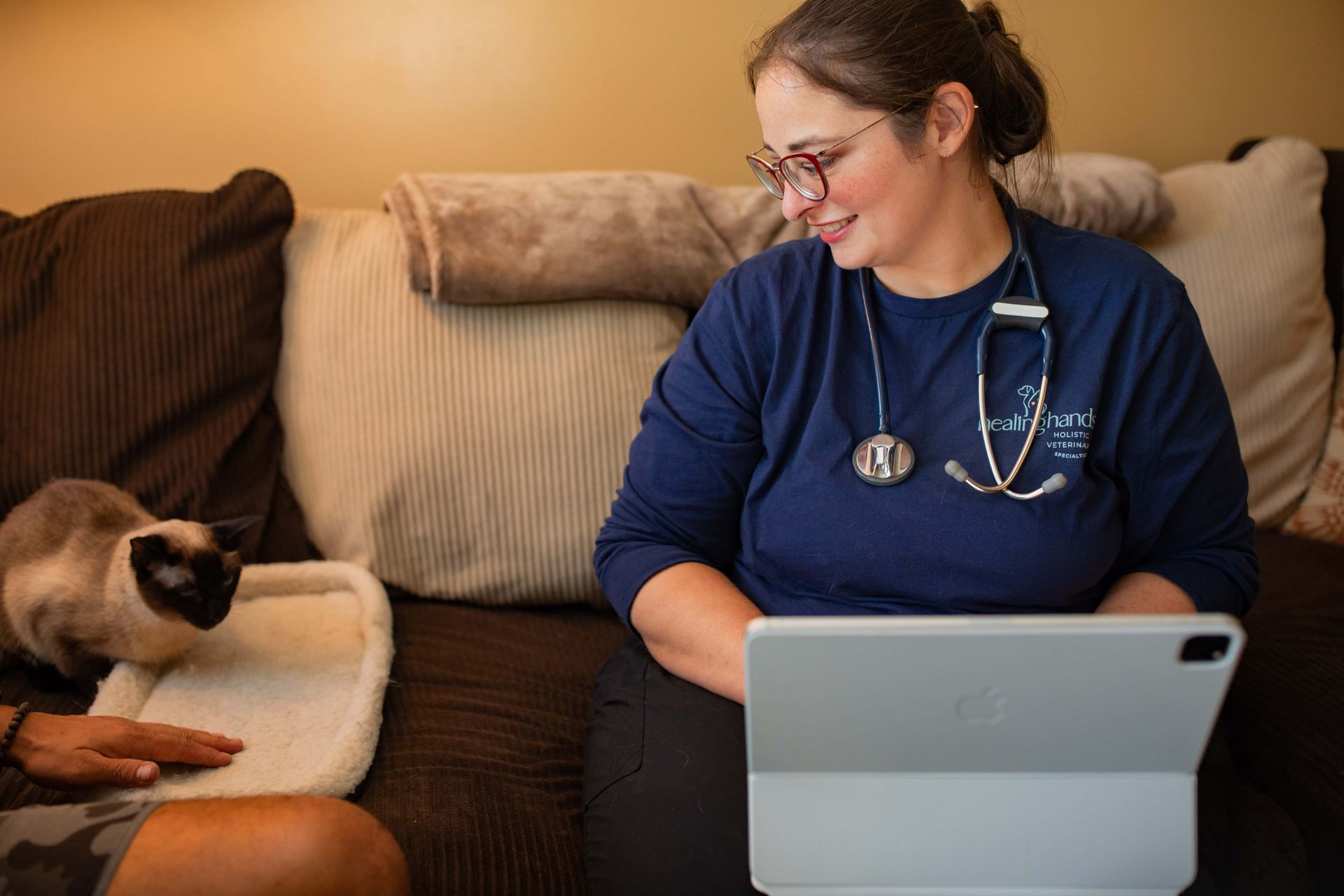 Dr. Jessi Turner is sitting on a couch with a cat and a laptop .