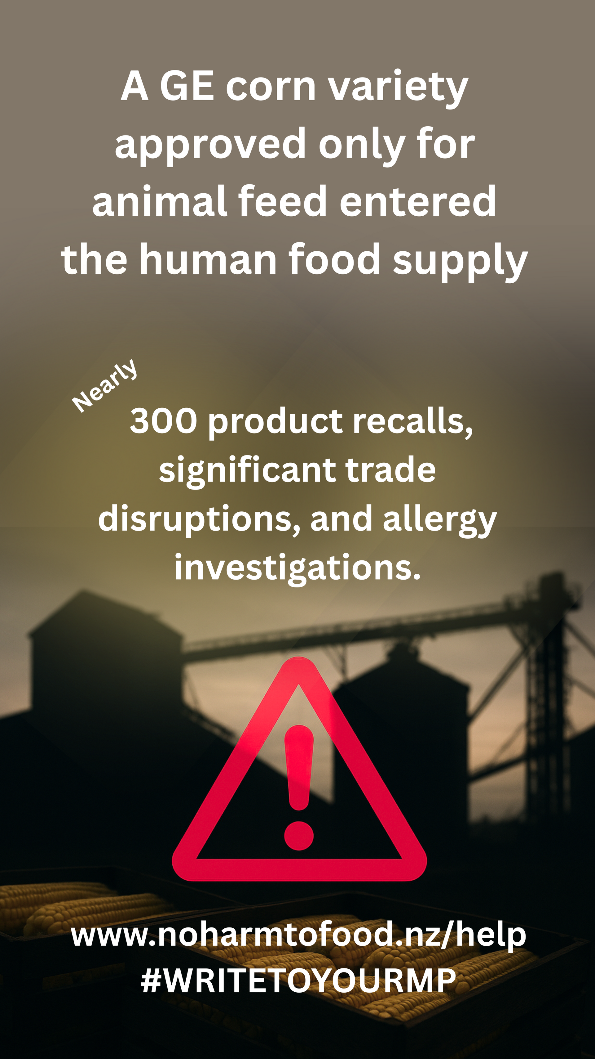 Warning poster about GE corn entering the human food supply, with a red alert triangle and trade disruption text.